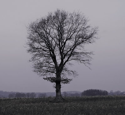 Herbstbild.jpg