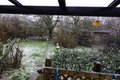 winter3.jpg
