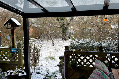 DSC_0395 Winter 2.jpg