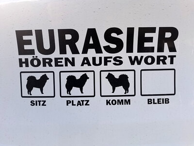 hunde01.jpg