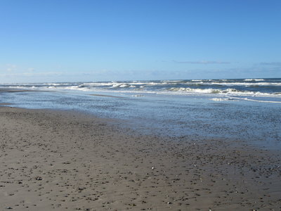 IMG_0601.JPG