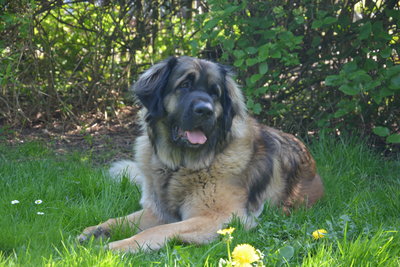 DSC_0334.JPG (10.76 MiB) 3910 mal betrachtet DSC_0334.JPG