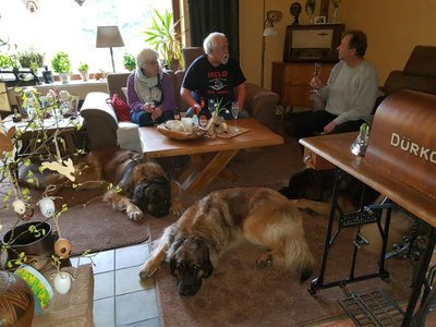 Jedich, 18.04.17.jpg (97.12 KiB) 3521 mal betrachtet Jedich, 18.04.17.jpg