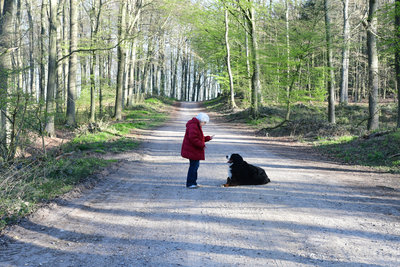 DSC_1805 skaliert.jpg