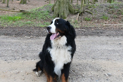 DSC_1796 skaliert.jpg